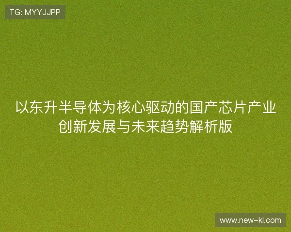 以东升半导体为核心驱动的国产芯片产业创新发展与未来趋势解析版