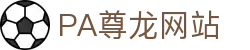 PA尊龙(中国区)有限公司官网